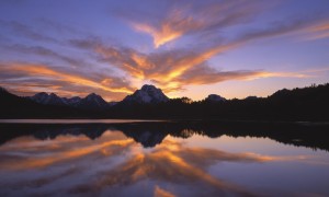 澳大利亞嬰兒奶粉真的比其他品牌更優(yōu)質(zhì)嗎？