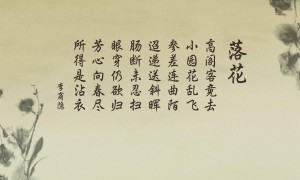 Hanmson.瀚明欣品牌_瀚明欣牌子口碑_Hanmson實(shí)力檔次排名