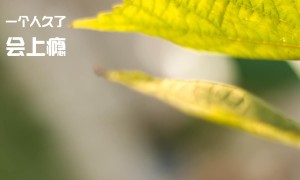 異界深淵：大靈王新手怎么玩？新手快速入門(mén)攻略