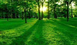 為什么喝奶粉會導致便秘？