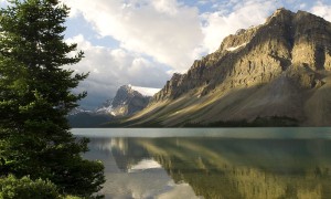 孕婦奶粉能空腹喝嗎？——關于孕婦奶粉飲用的全面解析