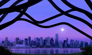 用奶粉能澆花嗎？這是一個值得探討的問題