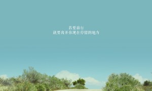 深圳西鄉(xiāng)鹽田夜市街十大美食 深圳西鄉(xiāng)鹽田夜市街必吃的小吃