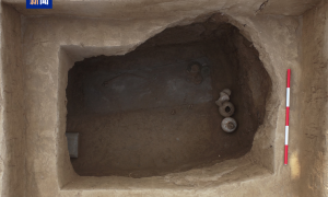 陜西發(fā)現(xiàn)一處唐代墓地，墓主是宰相張九齡的夫人