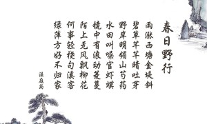 軟床的價(jià)格區(qū)間有哪些？不同預(yù)算如何選擇合適的軟床？