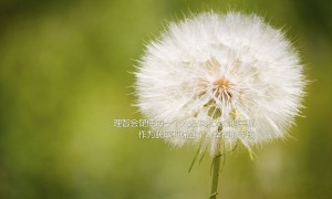 2025年潢川縣聯宜人力資源公司招聘合同制醫療衛生專業技術人員公告