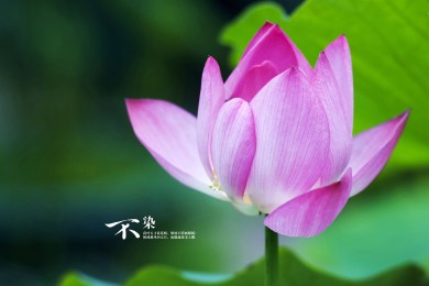 中國房價最低的城市排名，鶴崗最“白菜價”