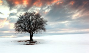 嬰兒奶粉成人能喝嗎？對成年人健康的影響及選擇建議