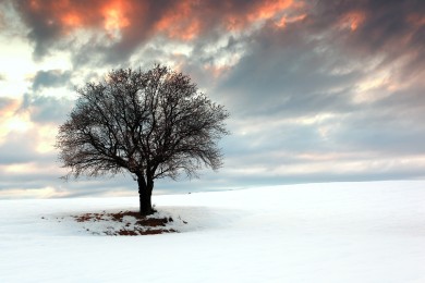 賣國外雪茄違法嗎 進口雪茄怎么在國內合法賣