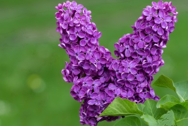 2024卷揚機品牌排行榜 最新卷揚機排名分享