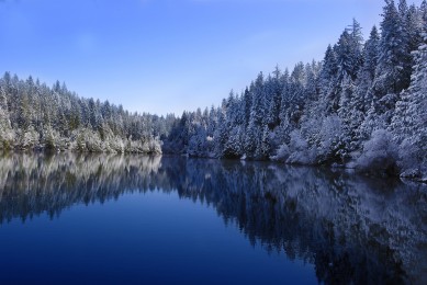 2025年品牌熔斷器排行榜10強