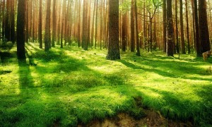 寶寶可以換幾次奶粉？這是一個科學問題還是家長的困惑？