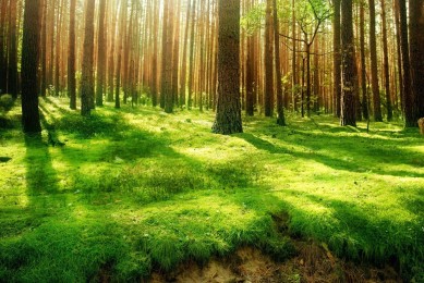 牛批了，小學生作品，值得一試