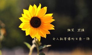 雙錐臥式螺帶料斗混合機的性能優勢都有哪些