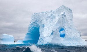 脫脂奶粉和全脂奶粉，哪個更適合日常飲用？