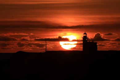 十大海淘網(wǎng)排行榜-海外購物網(wǎng)站都有哪些