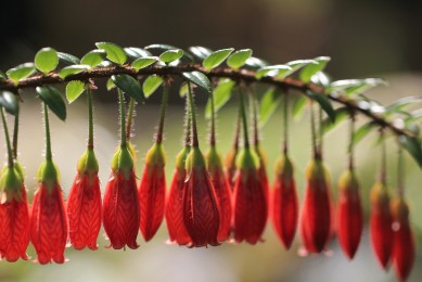 地產(chǎn)策劃質(zhì)量優(yōu)秀的幾大品牌_什么牌子的地產(chǎn)策劃好？