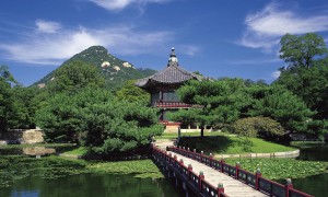 喝三鹿奶粉長大的寶寶，是否能健康成長？