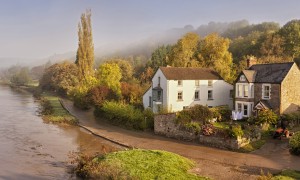 女士高鐵高鈣奶粉真的能幫助女性改善貧血和骨質(zhì)疏松嗎？