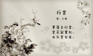 在尋找移動流量卡？哪些城市有銷售點？