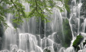 可貝思羊奶粉怎么樣？——深入解析與全面評(píng)測