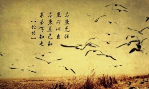 9元-19元男裝品牌排行榜_男士T恤哪家品牌好