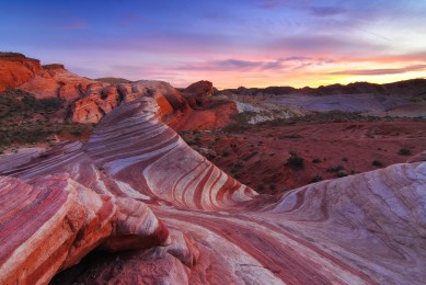 補腦保健品十大品牌排行榜_補腦保健品品牌排名_補腦保健品品牌排行榜