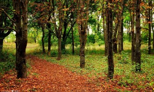 如何正確沖泡奶粉？有哪些常見的誤區和注意事項？