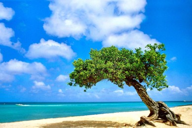 充氣泵排行榜_充氣泵十大品牌排行榜_充氣泵十大品牌排行