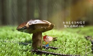 泰爾茂血糖儀哪個型號好？泰爾茂血糖儀熱賣產(chǎn)品推薦