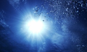 2025年裝載機(jī)十大品牌排行榜