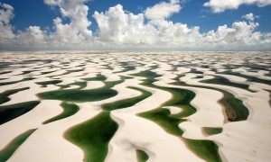 過期奶粉能干嘛？