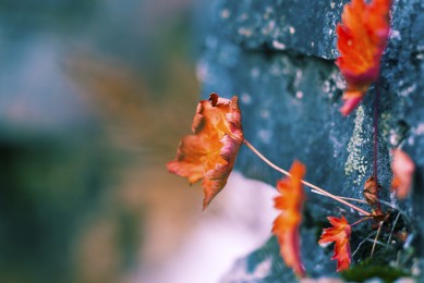 男士延時噴劑十大名牌排名-男性延時噴劑排名前十_男士延時噴劑品牌排名_男士延時噴劑品牌排行榜
