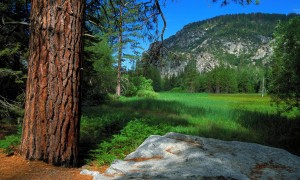 一個月寶寶的奶粉喂養量及注意事項