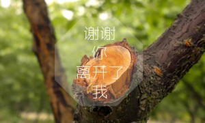 全自動(dòng)食品安全檢測(cè)儀常見的維修保養(yǎng)攻略