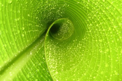 十大免費mp3音樂網站_mp3歌曲下載網站哪個好_MP3音樂網站大全