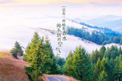 男朋友過生日送什么花最好 十種送男朋友生日花束有哪些