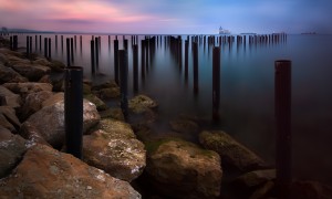 用奶粉買全脂還是脫脂？哪一個更適合你？