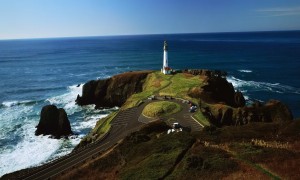 益生菌粉可以和奶粉一起沖嗎？益生菌與奶粉混合的安全性和效果如何？