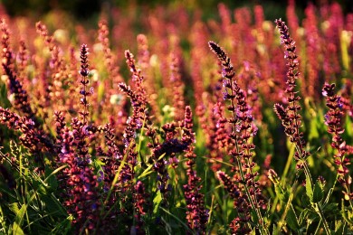 Baoli.寶力品牌_寶力牌子口碑_Baoli實(shí)力檔次排名