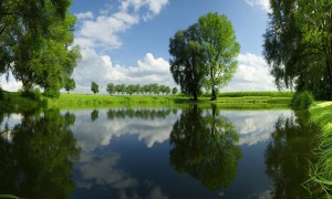 用2鐵罐奶粉能帶上飛機嗎？需要滿足哪些條件？