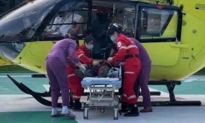 廣東一市民在公園突遭馬蜂圍襲，直升機救援10分鐘送醫(yī)！近期高發(fā)，緊急提醒→