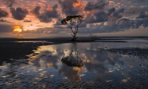 維他型豆奶粉是否真的比普通豆奶粉更有營養？