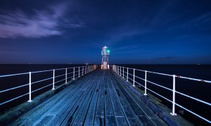 寵物羊奶粉排行榜10強中，哪款最適合我的寵物？