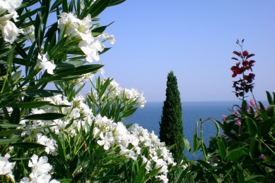 床裙哪個(gè)牌子好？2025床裙十大品牌排行榜