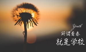 L.A_Baby.加州貝比品牌_加州貝比牌子口碑_L.A_Baby實力檔次排名