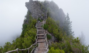 喝奶粉會拉肚子嗎？這是為什么？