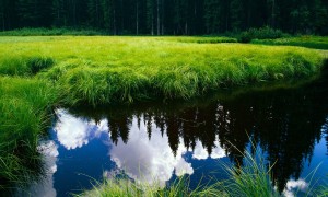 用奶粉制作的圖片是否能被視為原創作品？