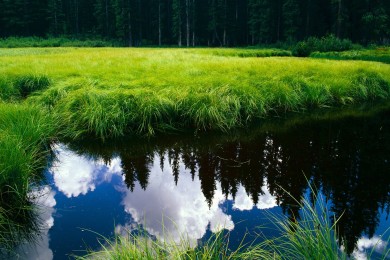 2025年傳感器十大品牌排行榜-傳感器什么牌子好