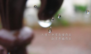 棉線衣十大品牌榜-2025棉線衣品牌排行榜